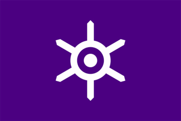 Флаг Team Tokyo