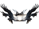 Flag Entangled Dragon Doves